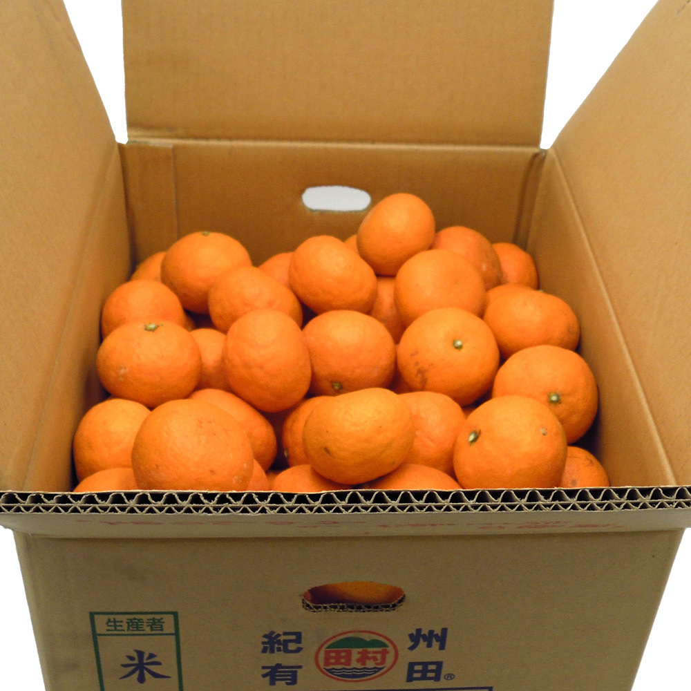 DN6014_【2025年 先行予約】 田村みかん 秀品 約 5kg 2Sサイズ 高級ブランド 田村みかん 小玉 みかん 温州みかん フルーツ 果物 柑橘 果汁 ジューシー 赤秀品 青秀品 国産 食品