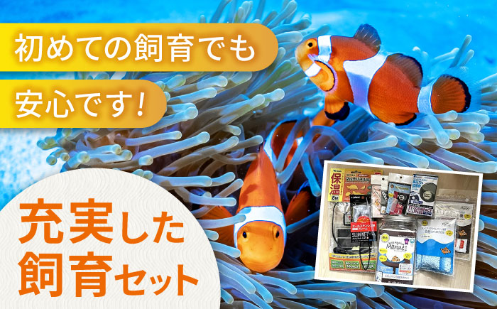 水槽 カクレクマノミ飼育セット（1ヶ月死亡補償付き）ボトルアクアリウムマリン2 水槽 魚 自由研究 ペット 観賞魚  安全な人工海水 広島県福山市/株式会社ウォーターエンジニアリング [BACD003