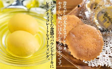 マドレーヌ＆レモンケーキ セット 計10個  飛騨古川 大久保製菓舗 ギフト 手土産[Q514pi]