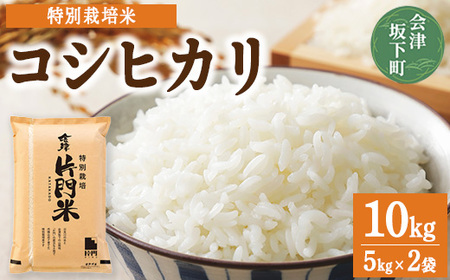 3-C コシヒカリ 白米 会津 5kg 2袋 計10kg 令和7年産米 藤川農産 ※2025年10月上旬頃より順次発送予定