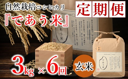 先行予約 米 定期便 3kg 6回 令和8年産 新米 こしひかり 自然栽培 玄米 数量限定 お米 こめ おこめ ご飯 ごはん R8 2026年産 こだわり おいしい 美味しい であう米 石川県 能登 羽咋
