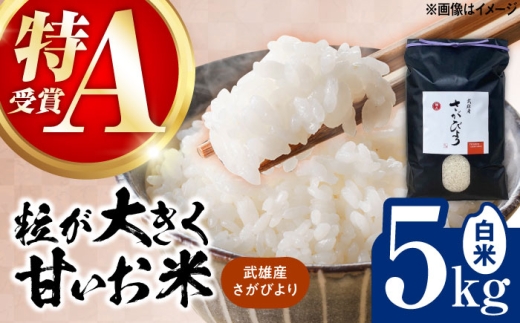 【16年連続特A評価】令和7年産米 武雄市産 さがびより 5kg /株式会社 y's company（utsu和ya） [UDX016]