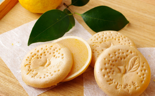 F169a 和菓子舗梶山の善菓良菓(よかよか)