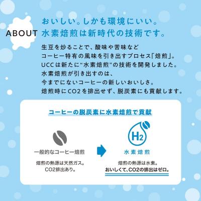 ふるさと納税 富士市 CN 水素焙煎コーヒーシティロースト豆300gと水素焙煎コーヒーダークロースト豆300gのセット |  | 01