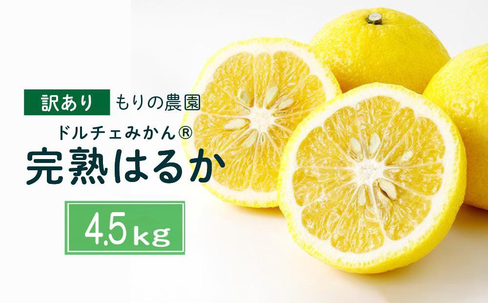 
                  【訳あり】完熟はるか 4.5kg ドルチェみかん 2027年2月中旬より発送予定
                