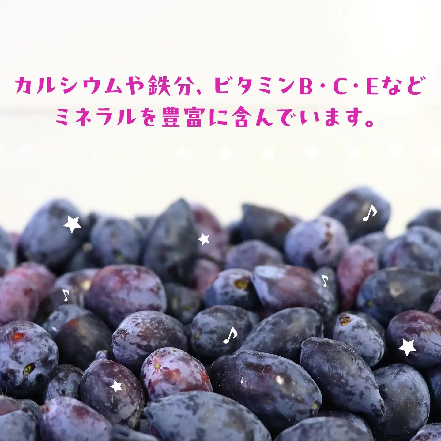 北海道美唄産ハスカップ（600g）｜ ハスカップ