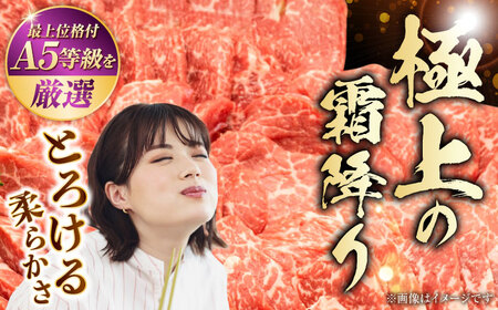 【全12回定期便】熊本県産 A5等級 黒毛和牛 和王 ウデ・モモ 焼肉用 約400g 計約4.8kg 焼肉[AYCH022]