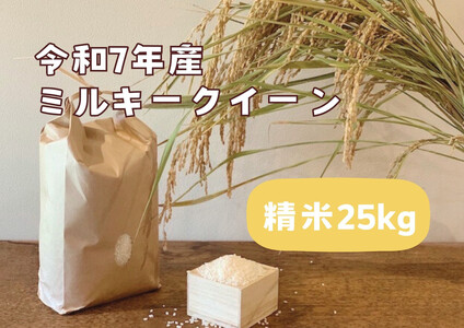 【令和7年産】栃木市岩舟町産ミルキークイーン25kg【精米】　米　ミルキー　農家直送　産地直送