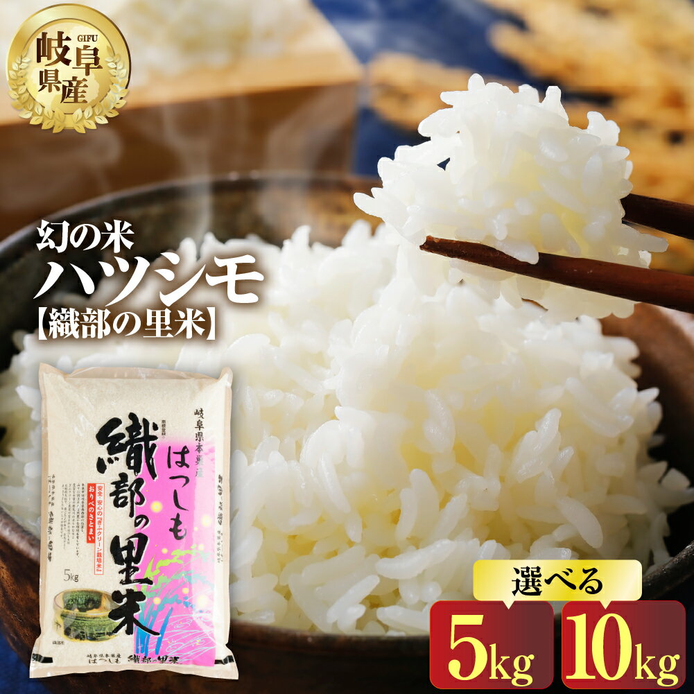 【ふるさと納税】令和7年産 先行予約 ハツシモ 5kg 10kg 選べる 幻の 米 こめ ごはん 白米 岐阜県産 本巣市 お米 精米 おにぎり 弁当 【織部の里米(R)】寿司 おすすめ もとすファーム [1444] 先行予約 先行受付