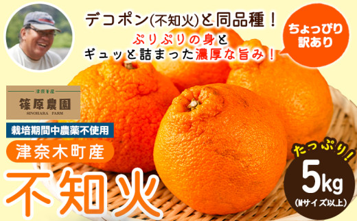 訳あり 不知火 5kg (Mサイズ以上) デコポン と同品種《2027年3月上旬-4月上旬頃出荷》熊本県 葦北郡 津奈木町 篠原農園 訳あり 青果物 フルーツ みかん