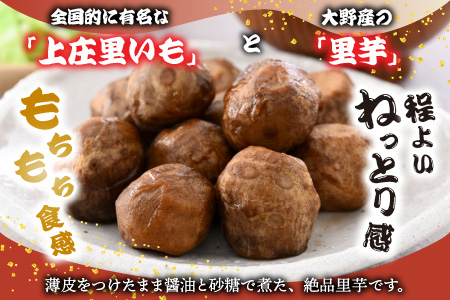 大野を代表するふるさとのお惣菜　里芋の煮っころがしセット [A-011011]