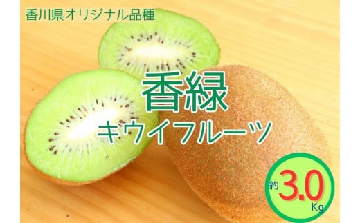 ＜先行受付　2025年発送＞香緑　キウイフルーツ 約3.0kg