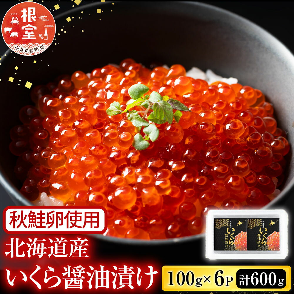 【ふるさと納税】 いくら醤油漬け 100g × 6P ( 計 600g ) イクラ 醤油 醤油漬 魚卵 鮭卵 お取り寄せ グルメ 海鮮 北海道 根室市 ふるさと納税 D-81001