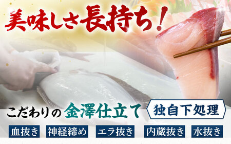 金澤仕立て 鮮魚ボックス 旬の魚2種 鮮魚 簡単 旬 海鮮 真空 冷蔵 五島市/金沢鮮魚[PEP006]