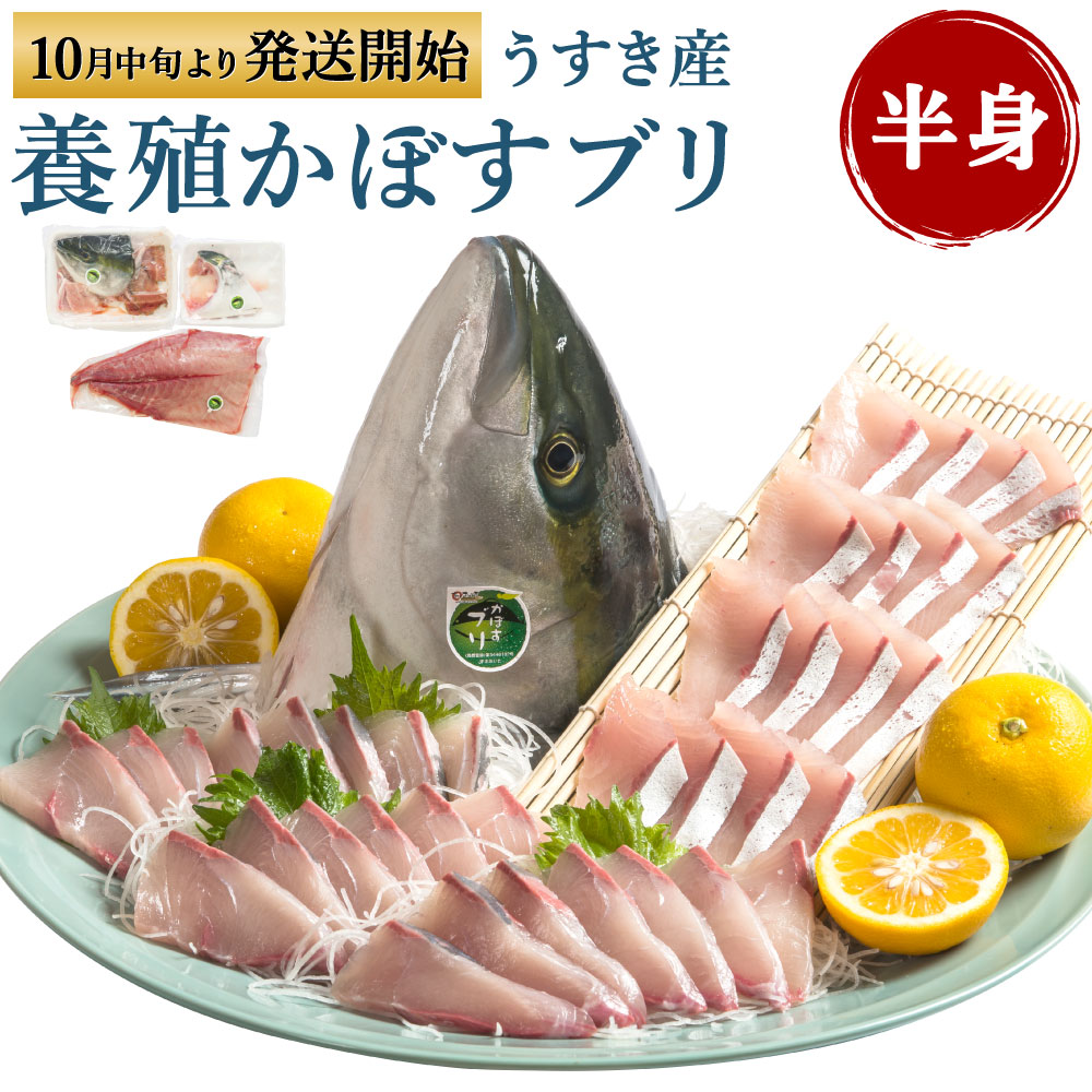 【ふるさと納税】養殖 かぼすブリ 半身 3枚おろし アラ カマ かぼす カボス ブリ ぶり 鰤 魚介類 魚貝類 魚 冷蔵発送 真空パック 旬 臼杵産 九州産 国産 送料無料
