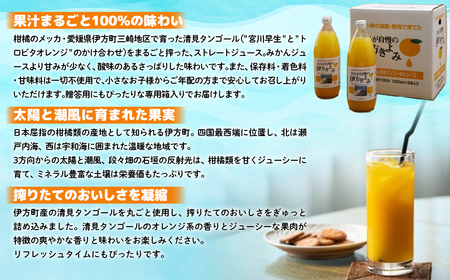 【愛媛県産】おらが自慢の伊方きよみジュース（1000ml×6本） ストレート果汁100％ 【ふるさと納税 人気 おすすめ ランキング みかん ミカン 蜜柑 ジュース みかんジュース ミカンジュース ク