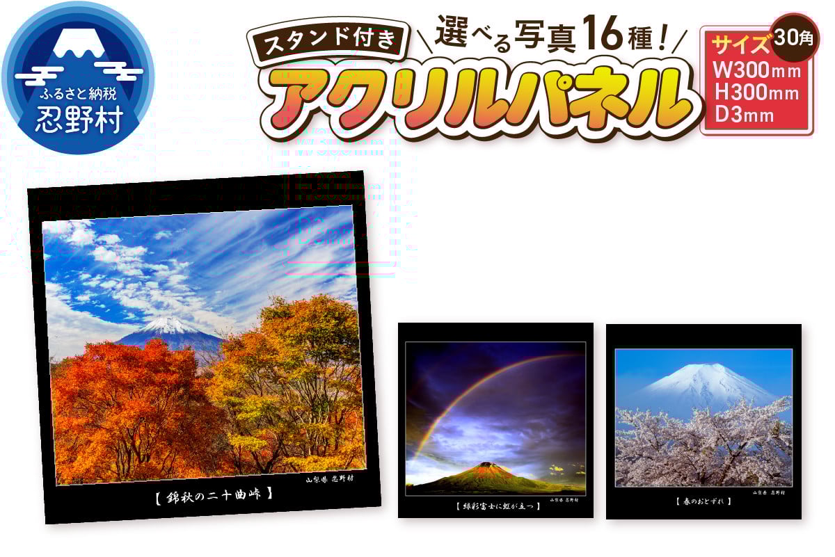 
                  アクリルパネル（30角）
                