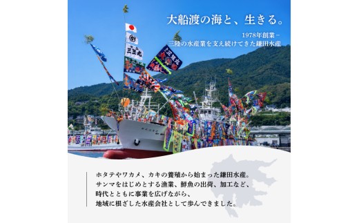 訳あり ホタテ 500g 冷凍 帆立 貝柱 ほたて 刺身 おさしみ 刺し身 鍋 お鍋 バーベキュー BBQ 炙り 炙り焼き バター焼き 出汁 夕飯 おかず おつまみ 晩酌 海産物 海鮮 魚介 魚介類 大船渡 三陸 岩手県 国産