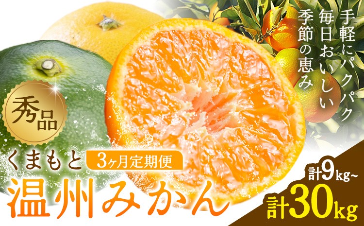 
                  秀品 温州みかん 3ヶ月 定期便 選べる 内容量 計9kg 計15kg 計30kg 日本フルーツ株式会社《10月上旬-12月末頃出荷》熊本県 荒尾市 みかん 温州みかん ミカン 蜜柑 柑橘類 極早生 早生 中生 果物 フルーツ
                