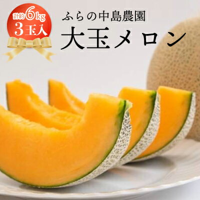 【ふるさと納税】【2026年発送】富良野メロン　大玉　3玉入り【1268352】