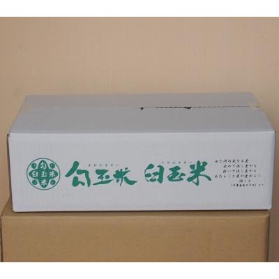 ふるさと納税 糸魚川市 令和7年産　勾玉米こしひかり3kg×2袋 |  | 02