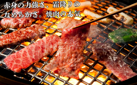 定期便3回 阿波黒牛 霜降り 赤身（焼き肉用）400g　阿波黒牛　国産牛　高級　ギフト　敬老の日　お歳暮　焼肉　
