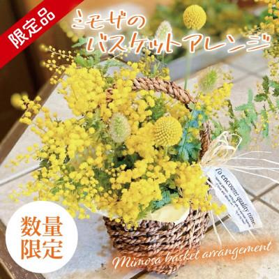ふるさと納税 水戸市 【3月上旬より発送・数量限定】ミモザのバスケットアレンジ(限定品)
