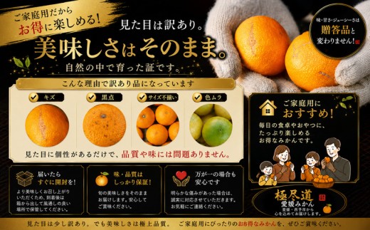 ＜香り立つ果実 愛媛県産伊予柑 合計約7.5kg＞『2027年1月上旬～2月下旬迄に順次出荷予定』 訳あり あまい 爽やかな香り ミカン 蜜柑 ご家庭用 果汁 果物 くだもの フルーツ オレンジ 柑橘