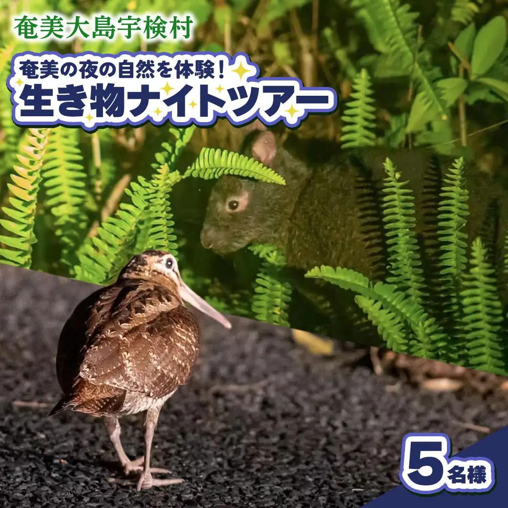 生き物ナイトツアー 5名様 奄美大島 宇検村 鹿児島県 旅行 自然 冒険 完全プライベート