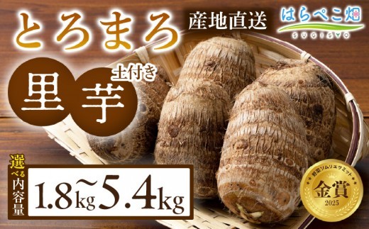 《選べる容量》【粘りと甘みが段違い】里芋『とろまろ』土付き 1.8kg・H063-SKU