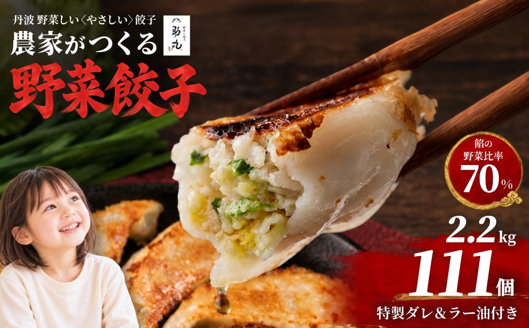 
                  丹波産野菜たっぷり 野菜しい餃子 冷凍生餃子 111個＋特製タレ＋辣油セット 兵庫県丹波市 助丸農家製
                