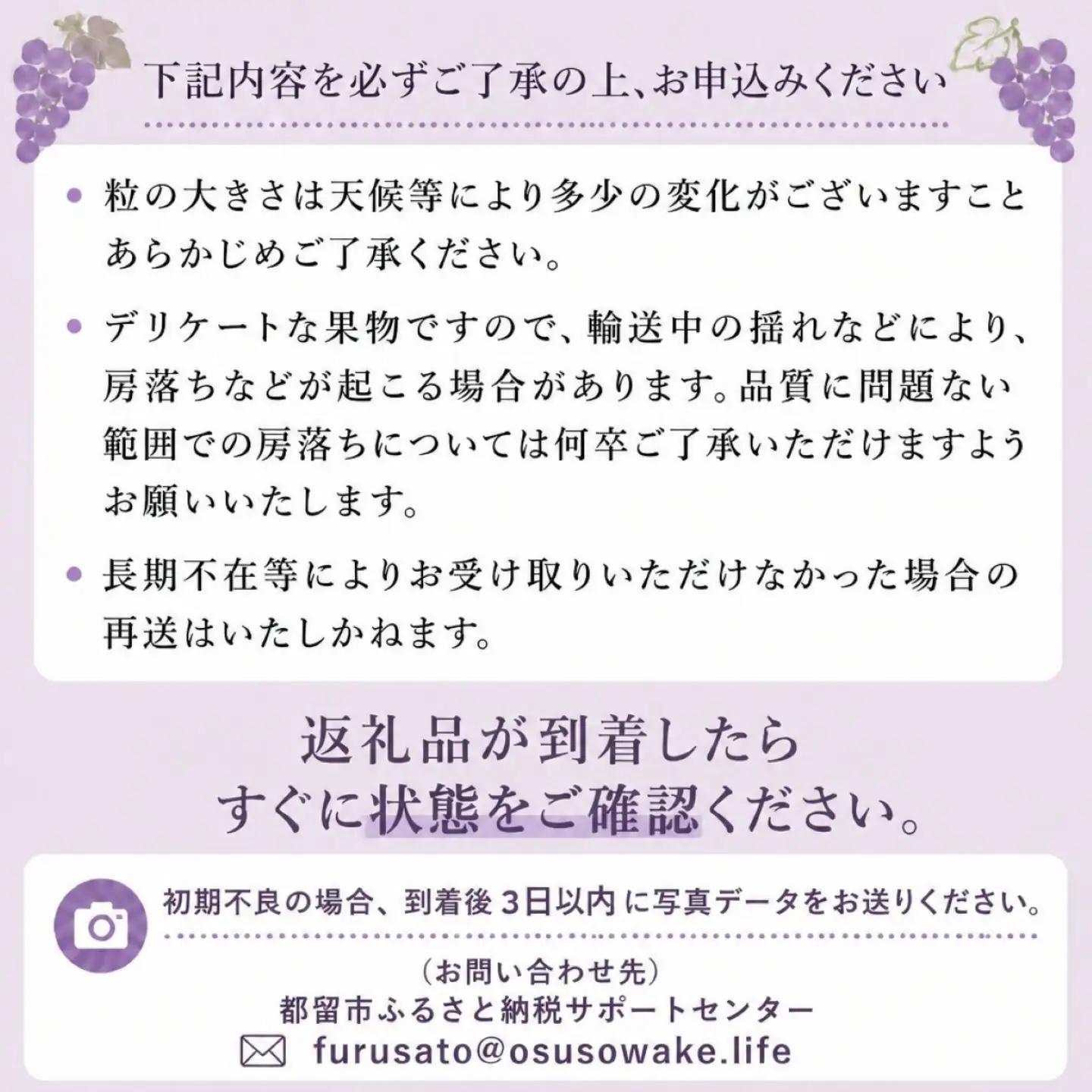 【2027年 先行予約】 山梨県 都留市産 ピオーネ  ぶどう ブドウ