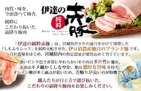 カレー 赤豚カレー セット 惣菜 ( 赤豚レトルトカレー200g × 6箱 )