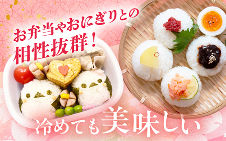 【令和7年度米】【全3回定期便】なつほのか 白米 5kg×3回 計15kg  波佐見町産【冨永米穀店】 [ZF10]