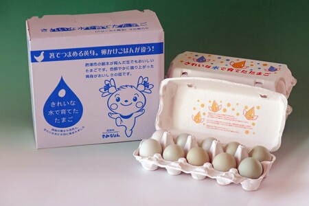 【6回定期便】きれいな水で育てた卵 アローカナ 30個 