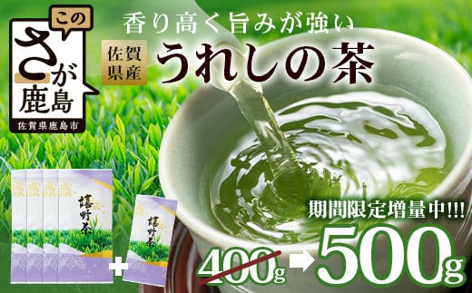 期間限定増量【ギフトにおすすめ】 佐賀県産 うれしの茶 (やぶきた茶) 100g×5本【合計500g】美味しいお茶を贈り物に B-570
