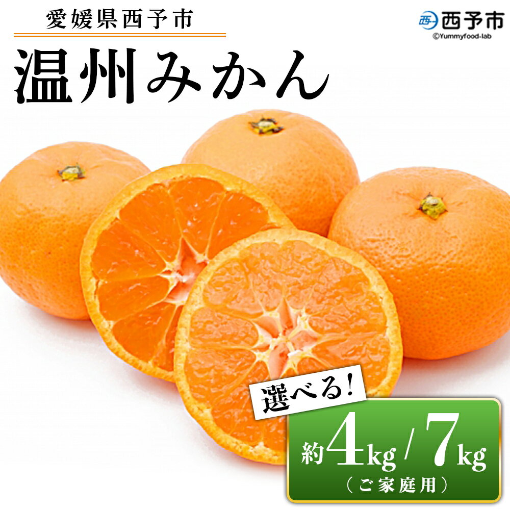【ふるさと納税】先行予約受付 ＜愛媛県西予市産 温州みかん ご家庭用 約4kg／7kg＞ 訳あり わけあり 果物 フルーツ みかん ミカン 蜜柑 オレンジ 柑橘 選べる 食べて応援 特産品 宇都宮物産 愛媛県 西予市【常温】『2025年10月中旬～2026年1月中旬迄に順次出荷予定』