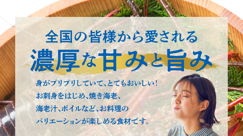 エメラルドブルーの美しい海で獲れた天然伊勢海老１㎏（２～３尾）！