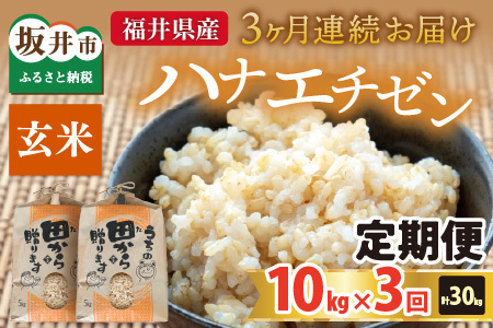 【先行予約】【令和8年産・新米】定期便 ≪3ヶ月連続お届け≫ ハナエチゼン10kg×3回 計30kg ～本原農園からまごころコメて～（玄米）【2026年9月上旬以降順次発送予定】 [F-8911_02]