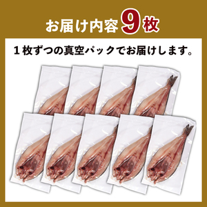 国産 真ほっけ一夜干し 9尾 ほっけ