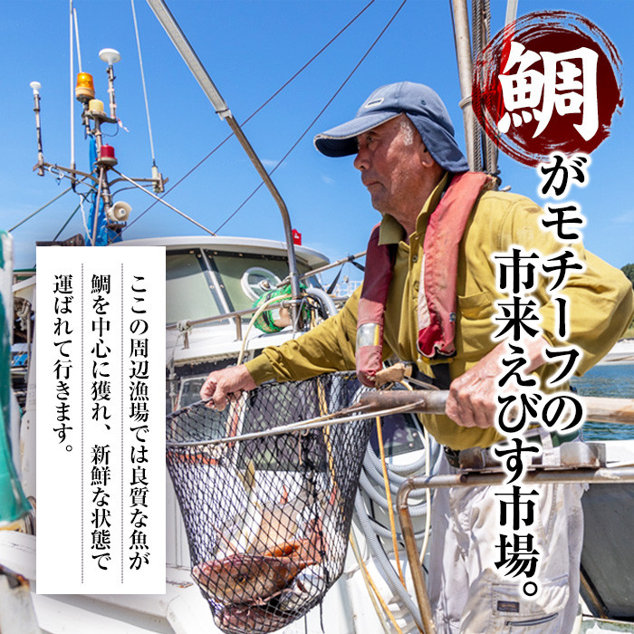 朝獲れ鮮魚の詰め合わせセット！鹿児島県いちき串木野より海鮮を産地直送【えびす市場】【A-1769H】