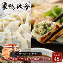 【ふるさと納税】巣鴨餃子 パクチー水餃子とパクチー焼餃子 の組み合わせ 各2袋 48個 餃子 ぎょうざ ギョーザ セット食べ比べ 冷凍 鍋 スープ おかず おつまみ お取り寄せ 豊島区 東京都