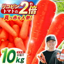 【ふるさと納税】【甘みと栄養たっぷり！】 真っ赤な人参 「紅天神」 10kg / にんじん ニンジン 人参 やさい 野菜 / 諫早市 / 滝商店株式会社[AHCU002]