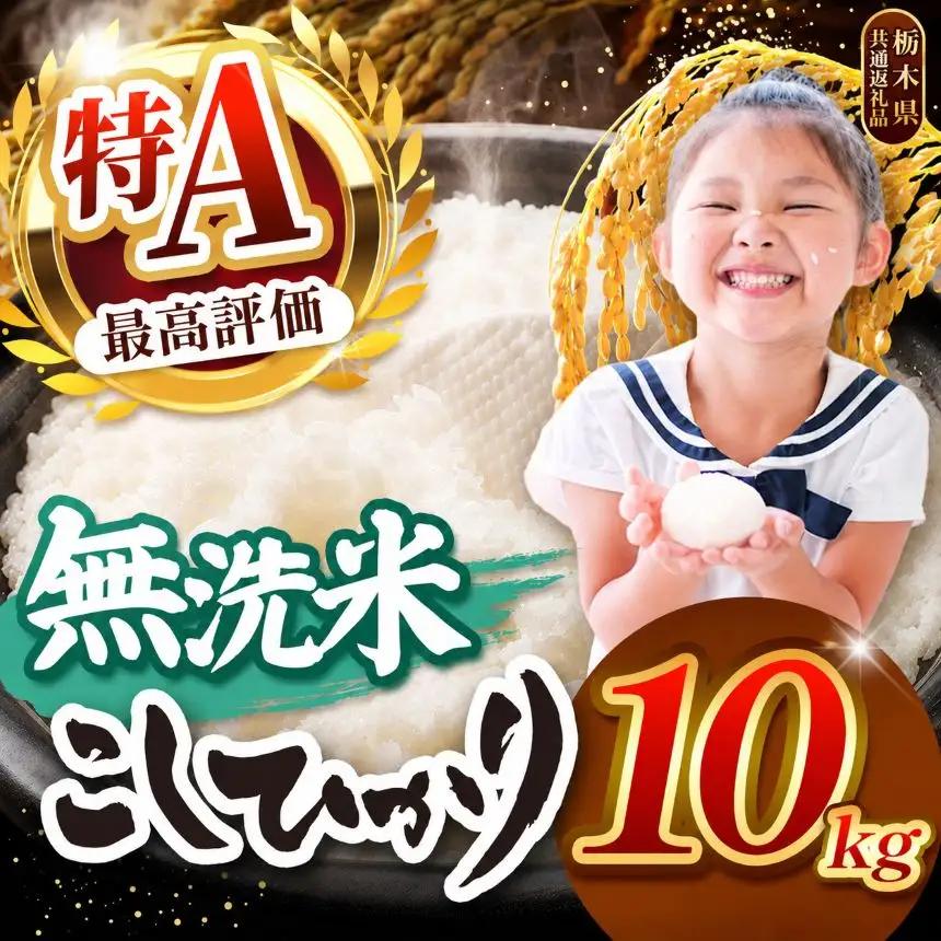 【2026年産】栃木県産コシヒカリ 無洗米 10kg 【栃木県共通返礼品 栃木県産】