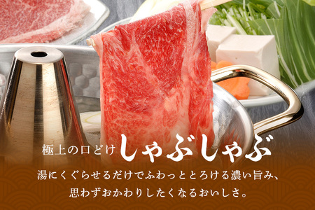松阪牛 シルクロース しゃぶしゃぶ 500g／ 冷凍 瀬古食品 JGAP認定 松阪肉 名産 お取り寄せグルメ 牛肉 お肉 肉 和牛 黒毛和牛 国産 国産牛 松阪牛 ブランド牛 ご自宅用 家庭用 ギフト