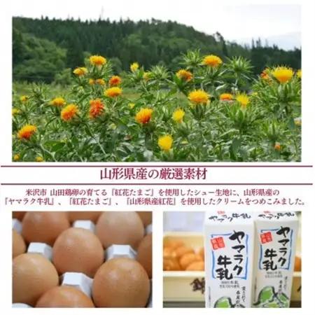 【ふるなびWEEK対象】紅花たまごのシュークリーム10個入り【配送不可地域：離島】【1676249】