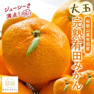 【先行予約】【果汁たっぷり】迫力満点！ 大粒 完熟有田みかん 家庭用 サイズ混合(2L～4L)　約2.7kg(2.5kg+200g)【2026年11月中旬～1月中旬頃に順次発送予定】【ard054D】