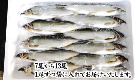 【延岡産】【冷凍】　小分けで便利！　子持ち鮎　1kg　N017-ZA173