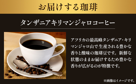 タンザニア キリマンジャロコーヒー 500g 豆 ＆古墳ドリップバッグ 1袋 ミディアムロースト 株式会社ばいせん工房 珈琲倶楽部《30日以内に出荷予定(土日祝除く)》｜コーヒードリップコーヒードリッ