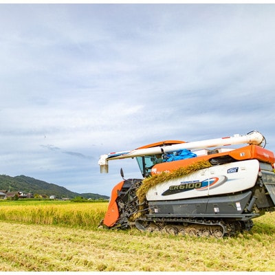 令和7年産新米 特別栽培米「ゆうだい21」精米5kg　京都与謝野町　【伊達農園】　数量限定